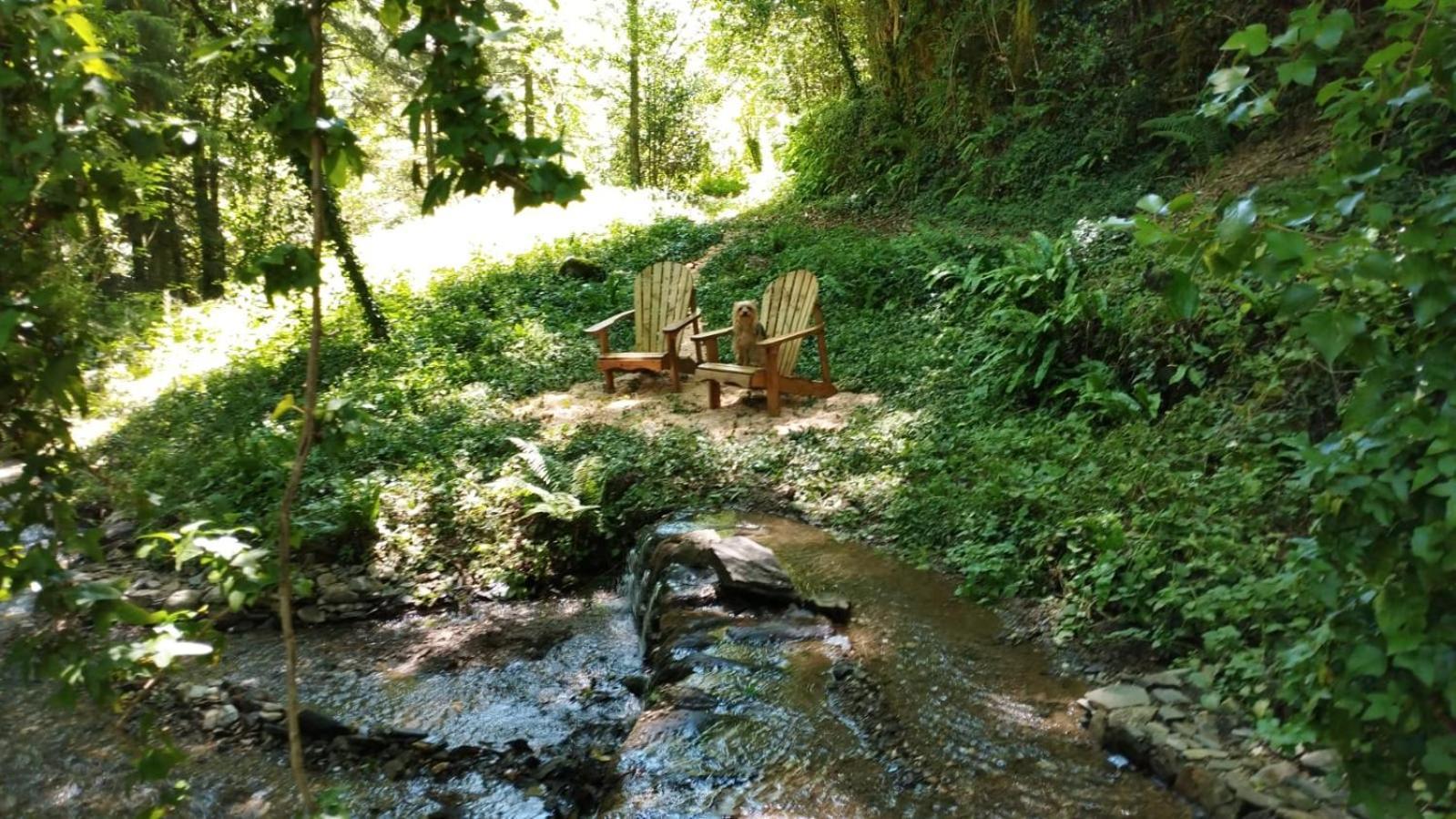 Gite Terra Bosca Cambounes ภายนอก รูปภาพ